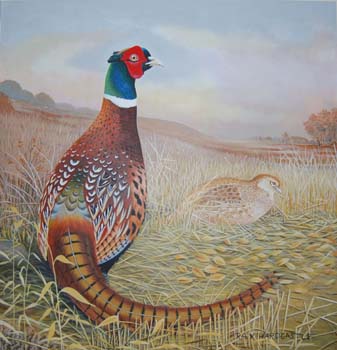 the pheasant pub sign